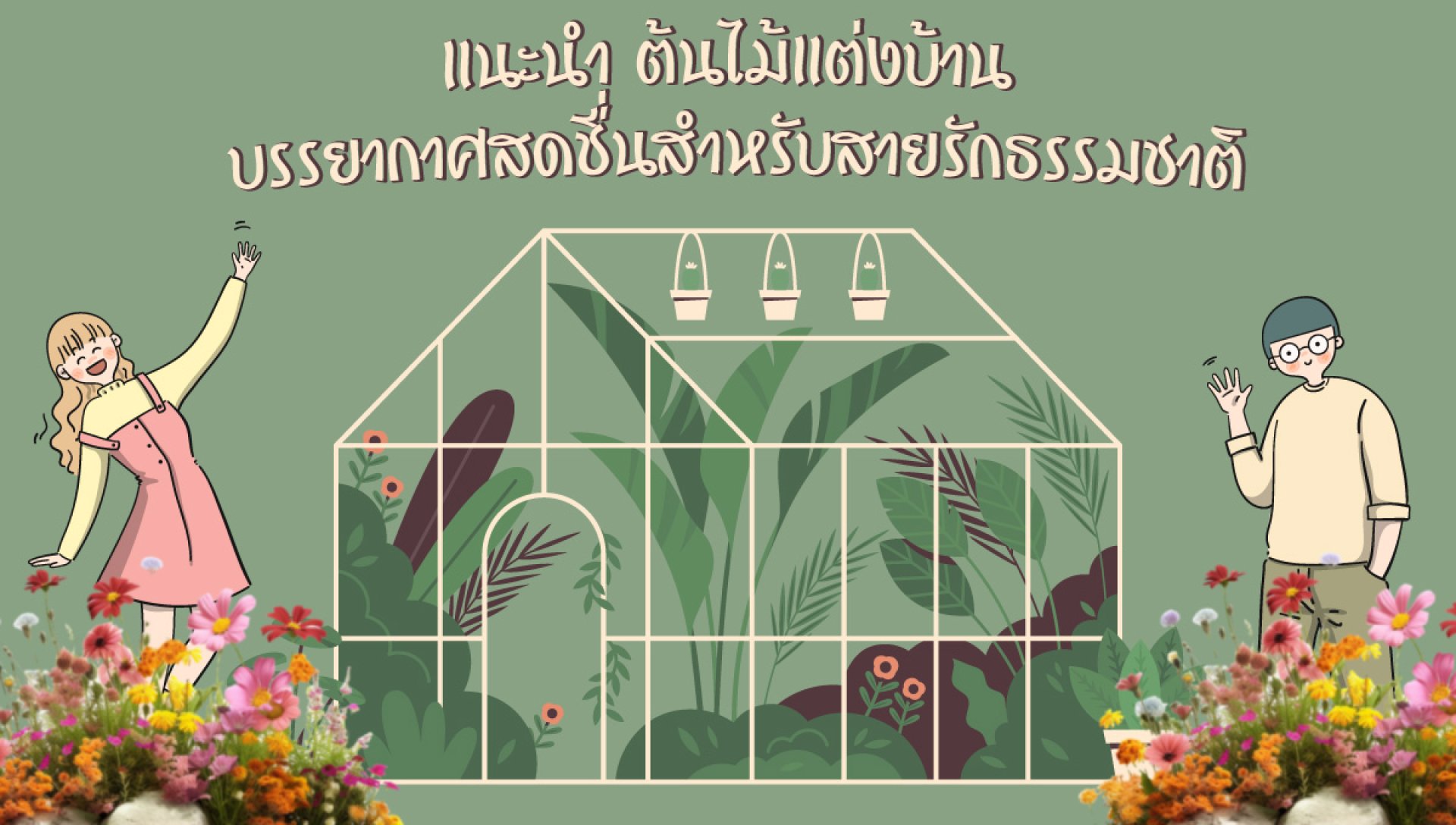 แนะนำ ต้นไม้แต่งบ้าน
